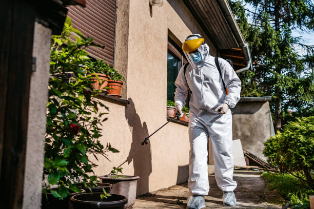 Best Exterminator Services  in Coaldale, PA